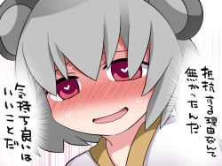 Rule 34 | 1girl, animal ears, blush, chinpo ni wa katenakatta yo, commentary request, full-face blush, grey hair, hammer (sunset beach), heart, heart-shaped pupils, looking at viewer, mouse ears, nazrin, open mouth, red eyes, smile, solo, symbol-shaped pupils, touhou, translation request