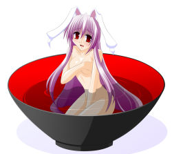 Rule 34 | 1girl, animal ears, blush, bowl, breast hold, breasts, covering privates, covering breasts, cup, engo (aquawatery), female focus, in container, in cup, long hair, mini person, minigirl, nude, nude cover, pun, purple hair, rabbit ears, red eyes, reisen udongein inaba, solo, touhou