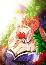 Rule 34 | 1girl, animal ears, artist name, bare shoulders, blurry, breasts, bug, butterfly, choker, chromatic aberration, cleavage, day, depth of field, fate/grand order, fate (series), flower, flower request, fox ears, highres, holding, holding flower, insect, large breasts, off shoulder, pink hair, rindo, solo, tamamo (fate), tamamo no mae (fate/extra), yellow eyes