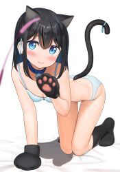 Rule 34 | :s, all fours, animal ears, animal hands, apollo (hu maple), bell, black hair, black socks, blue eyes, blue hair, blue ribbon, blush, bra, breasts, cat ears, cat tail, cat teaser, collar, collarbone, colored inner hair, commentary request, dot nose, gloves, hair ribbon, highres, jingle bell, kneehighs, medium hair, multicolored hair, on bed, original, panties, paw gloves, paw pose, ribbon, shy, simple background, small breasts, socks, solo, tail, tail ornament, tail ribbon, thigh gap, underwear, underwear only, white background, white bra, white panties, white ribbon