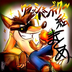 Rule 34 | 1boy, apple, crash bandicoot (series), eyebrows, food, fruit, furry, furry male, glasses, highres, male focus, pants, shoes, sunglasses, text focus, thick eyebrows, topless male