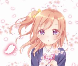 Rule 34 | 1girl, artist name, artist request, blue cardigan, blue eyes, blue jacket, blush, bow, bowtie, breasts, cardigan, clenched hands, collared shirt, female focus, floating hair, hair between eyes, hair bow, jacket, kosaka honoka, long hair, long sleeves, looking at viewer, love live!, love live! school idol project, orange hair, otonokizaka school uniform, parted lips, petals, pink petals, ponytail, red bow, school uniform, shirt, side ponytail, smile, solo, striped, striped bow, upper body, white background, white shirt, yellow bow