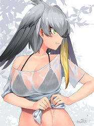 Rule 34 | 1girl, alternate breast size, bare arms, bikini, black bikini, blonde hair, breasts, collarbone, commentary, gradient hair, green eyes, grey hair, happa (cloverppd), head wings, highres, kemono friends, large breasts, looking away, looking to the side, multicolored hair, navel, profile, see-through, shirt, shoebill (kemono friends), short sleeves, signature, single sidelock, solo, swimsuit, upper body, wet, wet clothes, wet shirt, white shirt, wings