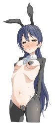 Rule 34 | 1girl, absurdres, animal ears, arms behind back, bad id, bad twitter id, blue hair, blush, breasts, covered erect nipples, cowboy shot, fake animal ears, heart maebari, heart pasties, highres, long hair, looking at viewer, love live!, love live! school idol project, maebari, meme attire, mog mog garyou, navel, pasties, rabbit ears, revealing clothes, reverse bunnysuit, reverse outfit, simple background, small breasts, solo, sonoda umi, standing, swept bangs, white background, yellow eyes