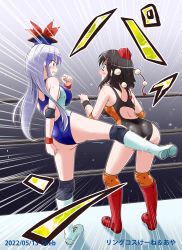 Rule 34 | ass, back, black hair, black leotard, blue hair, blue headwear, blush, breasts, cabbie hat, catfight, dated, elbow pads, hat, kamishirasawa keine, kicking, knee pads, kousei (public planet), large breasts, leotard, long hair, medium breasts, open mouth, orange leotard, pain, pointy ears, red eyes, red footwear, rope, shameimaru aya, stage lights, tokin hat, touhou, touhou tag dream, two-tone leotard, white footwear, wrestler, wrestling, wrestling boots, wrestling outfit, wrestling ring