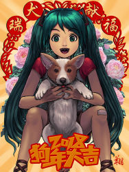 Rule 34 | 1girl, 2018, animal, bandaid, bandaid on knee, bandaid on leg, chinese new year, chinese zodiac, commentary, facing viewer, floral background, green eyes, green hair, happy, hatsune miku, highres, holding, holding animal, long hair, open mouth, raglan sleeves, ryu shou, shirt, shorts, t-shirt, very long hair, vocaloid, welsh corgi, year of the dog