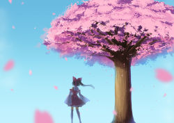 Rule 34 | 1girl, black hair, blurry, bow, cherry blossoms, day, depth of field, detached sleeves, hair bow, hair ribbon, hakurei reimu, highres, long hair, nontraditional miko, north abyssor, outdoors, petals, ribbon, sketch, solo, thighhighs, touhou, tree, white thighhighs, wind, zettai ryouiki