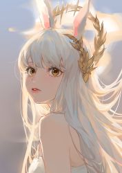 Rule 34 | 1girl, absurdres, animal ears, arknights, bare shoulders, bikini, brown eyes, commentary, highres, horse ears, laurel crown, long hair, looking at viewer, outdoors, pamafff, parted lips, platinum (arknights), platinum (shimmering dew) (arknights), silver hair, solo, swimsuit, symbol-only commentary, upper body, white bikini