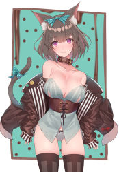 Rule 34 | 1girl, animal ear fluff, animal ears, bare shoulders, belt collar, blue shirt, blurry, blush, bow, breasts, brown hair, brown jacket, brown thighhighs, cat ears, cat tail, cleavage, closed mouth, collar, collarbone, commentary request, cowboy shot, grey panties, hair bow, head tilt, highres, jacket, large breasts, long sleeves, looking at viewer, mole, mole on breast, multicolored hair, no pants, off shoulder, open clothes, open jacket, original, panties, polka dot, polka dot bow, purple eyes, ribbon, shirt, short hair, side-tie panties, skindentation, sleeves past wrists, smile, solo, standing, streaked hair, tail, tail ornament, tail ribbon, thighhighs, underbust, underwear, yaman