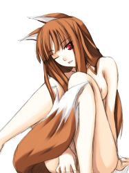 Rule 34 | 00s, 1girl, animal ears, brown hair, holo, long hair, nude, one eye closed, red eyes, ribi, solo, spice and wolf, tail, wink, wolf ears, wolf tail