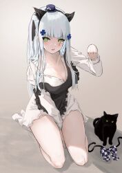 Rule 34 | 1girl, animal ears, apron, between legs, black apron, black cat, black hat, blunt bangs, breasts, cat, cat ears, cleavage, collarbone, commentary, dress, ezzi, facial mark, fake animal ears, fang, frilled apron, frills, full body, girls&#039; frontline, green eyes, hair ornament, hand between legs, hat, highres, hk416 (black kitty&#039;s gift) (girls&#039; frontline), hk416 (girls&#039; frontline), large breasts, long hair, long sleeves, looking at viewer, mini hat, official alternate costume, paw pose, sitting, skin fang, solo, teardrop, thighs, unbuttoned, white dress, white hair