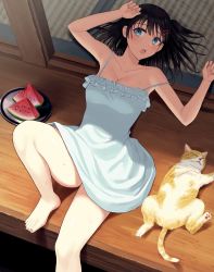 Rule 34 | 1girl, ame arare, bare legs, black hair, blue camisole, blue eyes, breasts, camisole, cat, cleavage, day, food, fruit, hair ornament, hairclip, highres, hot, knee up, lying, medium breasts, medium hair, on back, one side up, open mouth, original, shadow, sweat, tray, watermelon, watermelon slice