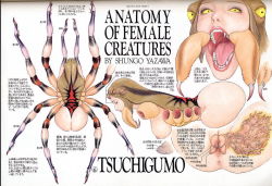 Rule 34 | anus, ass, bug, arthropod girl, monster girl, mythology, shungo yazawa, spider, spider girl, text focus, translation request, tsuchigumo