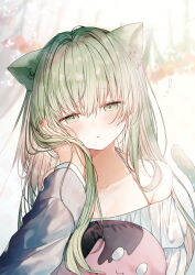 Rule 34 | 1boy, 1girl, animal ear fluff, animal ears, bare shoulders, blurry, blurry background, blush, breasts, cat ears, cat girl, cat tail, cecilia (shiro seijo to kuro bokushi), cleavage, collarbone, commentary request, depth of field, dress, green eyes, green hair, hair between eyes, half-closed eyes, hand on another&#039;s face, kazutake hazano, kemonomimi mode, lawrence (shiro seijo to kuro bokushi), long hair, off-shoulder dress, off shoulder, parted lips, shiro seijo to kuro bokushi, small breasts, tail, very long hair, white dress