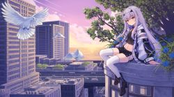 Rule 34 | 1girl, bird, black footwear, black shirt, black shorts, cityscape, commentary request, crop top, dove, melusine (fate), fate/grand order, fate (series), hair ornament, hairclip, highres, hoodier, long hair, looking at viewer, navel, shirt, shorts, solo, thighhighs, tree, white hair, white thighhighs, yellow eyes, zipper