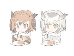 Rule 34 | 10s, 2girls, blade (galaxist), brown coat, brown eyes, brown hair, coat, commentary request, curry, curry rice, eating, eurasian eagle owl (kemono friends), food, fur trim, grey coat, kemono friends, long sleeves, looking at viewer, multiple girls, northern white-faced owl (kemono friends), plate, rice, short hair, silver hair, simple background, spoon, white background