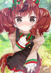 Rule 34 | 1girl, animal ears, black dress, blush, bow, brown eyes, brown hair, brown shirt, closed mouth, commentary request, day, diagonal-striped bow, dress, ear bow, frilled dress, frills, green bow, hand up, horse ears, horse girl, horse tail, juliet sleeves, k hiro, long sleeves, looking at viewer, multicolored hair, nice nature (umamusume), nose blush, outdoors, puffy sleeves, shirt, sleeveless, sleeveless dress, sleeves past wrists, solo, streaked hair, tail, twintails, umamusume