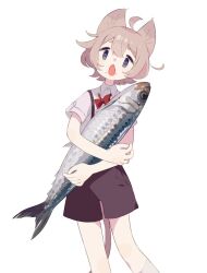 Rule 34 | 1girl, ahoge, animal, animal hug, blue eyes, bow, bowtie, brown shorts, brown tail, collared shirt, fang, feet out of frame, fish, fish request, holding, holding animal, holding fish, light brown hair, looking at viewer, open mouth, original, red bow, red bowtie, shirt, short hair, short sleeves, shorts, simple background, skin fang, solo, sorata123, suspenders, white background, white shirt