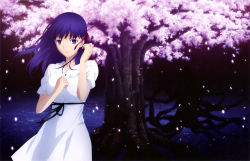 Rule 34 | 1girl, ajiki kei, black ribbon, blue hair, breasts, cherry blossoms, collarbone, copyright name, dress, fate/stay night, fate (series), floating hair, flower, hair ribbon, heaven&#039;s feel, highres, large breasts, long hair, matou sakura, name connection, night, official alternate costume, official art, outdoors, parted lips, petals, pink flower, pink ribbon, purple eyes, ribbon, solo, standing, tree, white dress