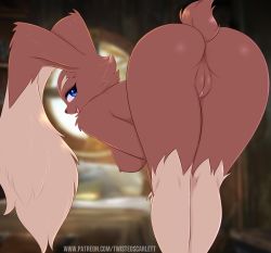 Rule 34 | 1girl, animal ears, ass, bent over, blue eyes, breasts, cleft of venus, cowboy shot, creatures (company), from behind, furry, furry female, game freak, gen 4 pokemon, highres, indoors, looking back, lopunny, medium breasts, nintendo, nipples, open mouth, patreon username, pokemon, pokemon (creature), pussy, smile, solo, twistedscarlett60, uncensored
