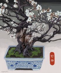 Rule 34 | absurdres, bonsai, commentary request, flower, flower pot, highres, miyamori she, no humans, original, plant, plant focus, potted plant, signature, still life, translation request, white flower