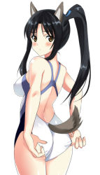 Rule 34 | 1girl, adjusting clothes, adjusting swimsuit, alternate costume, animal ears, ass, back, black hair, blush, brown eyes, clothing cutout, competition swimsuit, covered erect nipples, cowboy shot, dog ears, dog tail, hattori shizuka, kyogoku shin, long hair, looking at viewer, one-piece swimsuit, ponytail, simple background, solo, standing, strike witches, swimsuit, tail, tail through clothes, thighs, world witches series, yellow eyes
