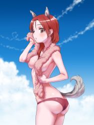 Rule 34 | 1girl, animal ears, ass, bikini, blush, breasts, butt crack, contrail, cowboy shot, day, dog ears, dog tail, from side, highres, large breasts, minna-dietlinde wilcke, navel, outdoors, panties, red bikini, red eyes, red hair, red panties, solo, standing, strike witches, swimsuit, tail, thighs, topless, underwear, underwear only, world witches series