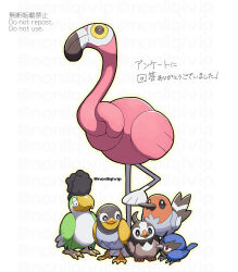 Rule 34 | animal focus, bird, bright pupils, brown eyes, closed mouth, colored sclera, commentary request, creatures (company), flamigo, fletchling, game freak, gen 4 pokemon, gen 6 pokemon, gen 8 pokemon, nintendo, pokemon, pokemon (creature), rookidee, squawkabilly, standing, starly, translation request, watermark, wattrel, white background, white pupils, yamanashi taiki, yellow sclera