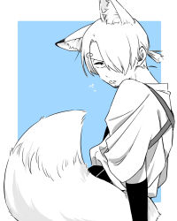 Rule 34 | 1boy, animal ear fluff, animal ears, arm warmers, blue background, commentary, curly eyebrows, facial hair, fox boy, fox ears, fox tail, highres, kurimaron, blue background, long bangs, male focus, one eye covered, one piece, sanji (one piece), shirt, short hair, short ponytail, simple background, sketch, solo, stubble, tail, tongue, tongue out, translated, upper body, white background