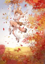 Rule 34 | animal ears, autumn, autumn leaves, brown hair, commentary request, day, dhole (kemono friends), dog ears, dog girl, dog tail, extra ears, falling leaves, jumping, kemono friends, kemono friends 3, leaf, looking at viewer, nature, nyororiso (muyaa), outdoors, panties, pantyshot, scenery, skirt, solo, tail, thighhighs, translation request, tree, underwear