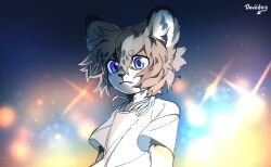 Rule 34 | 1boy, animal ear fluff, animal ears, artist name, blue eyes, body fur, child, closed mouth, commentary, deviidog0, furrification, furry, furry male, grey fur, grey hair, hair between eyes, highres, lion boy, lion ears, looking at viewer, male focus, night, night sky, original, shirt, short eyebrows, short hair, short sleeves, sky, solo, symbol-only commentary, t-shirt, upper body, white fur, white shirt