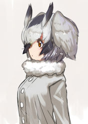 Rule 34 | 10s, 1girl, akasaai, animal ears, brown eyes, from side, fur collar, grey background, grey hair, highres, kemono friends, northern white-faced owl (kemono friends), simple background, solo