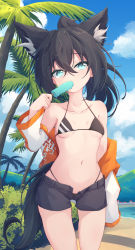 Rule 34 | 1girl, absurdres, animal ear fluff, animal ears, aqua eyes, beach, bikini, black bikini, black hair, black shorts, blouse, blue sky, borrowed character, breasts, cloud, cloudy sky, collarbone, cowboy shot, day, dripping, eating, extra ears, food, hair between eyes, hand up, high ponytail, highres, licking, long hair, long sleeves, looking at viewer, melting, navel, ocean, off shoulder, open clothes, open shirt, open shorts, orange shirt, original, outdoors, palm tree, popsicle, scenery, shirt, short shorts, shorts, sky, small breasts, solo, standing, swimsuit, tail, tree, trimbil, two-tone shirt, water, white shirt