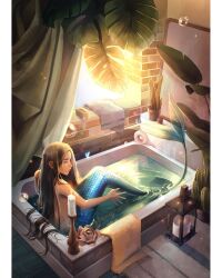 Rule 34 | 1girl, bath, bathing, bathroom, bathtub, brown hair, commentary, english commentary, fins, fish tail, flower pot, highres, indoors, long hair, looking to the side, making-of available, mermaid, monster girl, monstera deliciosa, original, partially submerged, scales, sitting, solo, sunfwer, sunlight, tail, topless, towel, water, window