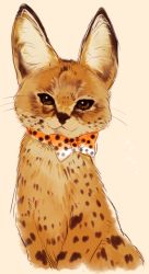 Rule 34 | 10s, :3, animal, animalization, bow, bowtie, brown eyes, kemono friends, looking at viewer, mikan (ama no hakoniwa), no humans, print bow, print bowtie, print neckwear, serval, serval (kemono friends), serval print, simple background, solo