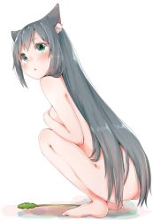Rule 34 | 1girl, :&lt;, animal ears, ass, bad id, bad pixiv id, barefoot, black hair, breasts, cat ears, cat teaser, covering privates, covering breasts, full body, green eyes, knees to chest, long hair, nude, rima (rimarip), solo, squatting, very long hair, white background