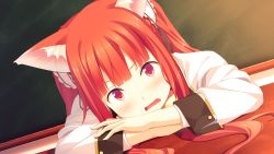 Rule 34 | 1girl, aika von koruto, animal ears, blush, chalkboard, classroom, donuthouse, embarrassed, fox ears, game cg, long hair, looking at viewer, mayachi (amuriya), open mouth, red eyes, red hair, school, school uniform, solo, table, valkyrie runabout!
