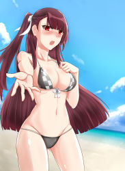 Rule 34 | 1girl, absurdres, beach, bikini, black bikini, blush, braid, breasts, brown hair, cleavage, cowboy shot, day, foreshortening, front-tie bikini top, front-tie top, girls&#039; frontline, gluteal fold, highres, large breasts, long hair, mismatched bikini, navel, open mouth, red eyes, side-tie bikini bottom, side ponytail, solo, standing, swimsuit, wa2000 (girls&#039; frontline), zhishi ge fangzhang
