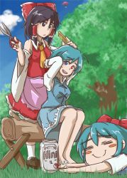 Rule 34 | !?, 3girls, :/, :d, = =, apron, aqua hair, ascot, bare shoulders, barefoot, beer can, black eyes, black hair, blue eyes, blurry, blush, blush stickers, bow, breasts, can, cirno, cocked eyebrow, comb, cutting hair, depth of field, detached sleeves, drink can, eyebrows, hair bow, hair tubes, hakurei reimu, heterochromia, juliet sleeves, loafers, log, long sleeves, mirakona gonzaless, multiple girls, open mouth, puffy sleeves, red eyes, scissors, shoes, short hair, sitting, skirt, sleeping, small breasts, smile, socks, sweatdrop, tatara kogasa, thick eyebrows, touhou, tree, tunic, umbrella, yin yang
