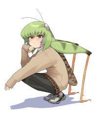 Rule 34 | 1girl, antennae, arthropod girl, bug, cardigan, evolvingmonkey, extra legs, grasshopper, grasshopper inoue, green hair, highres, insect, leggings, looking at viewer, original, shoes, sleeves past wrists, sneakers, solo, squatting, white background