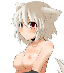 Rule 34 | 1girl, animal ears, bad id, bad pixiv id, breasts, female focus, inubashiri momiji, nipples, nude, red eyes, short hair, silver hair, solo, tail, topless frame, touhou, upper body, wk (low-f), wolf ears, wolf tail