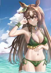 Rule 34 | 1girl, absurdres, aimi (tikichin0229), animal ears, arm under breasts, arm up, armpits, bare arms, bare shoulders, bikini, blue sky, blush, braid, breasts, brown eyes, brown hair, choker, cleavage, closed mouth, cloud, collarbone, commentary request, day, ear ornament, gem, green bikini, green choker, green ribbon, grey hair, half updo, highres, horse ears, horse girl, horse tail, large breasts, lens flare, long hair, looking at viewer, multicolored hair, navel, ocean, outdoors, ribbon, satono diamond (umamusume), side-tie bikini bottom, sky, smile, solo, stomach, straight hair, swimsuit, tail, two-tone hair, umamusume, very long hair, wading, water, wet, wrist cuffs