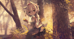 Rule 34 | !, 1girl, animal ears, blurry, blush, chii (tsumami tsumamare), commentary, depth of field, eating, food, forest, grass, hakama, hakama skirt, hand up, hat, inubashiri momiji, japanese clothes, looking to the side, muted color, nature, red eyes, roasted sweet potato, short hair, side slit, silver hair, sitting, skirt, solo, sunlight, sweet potato, tail, tokin hat, touhou, tree, wolf ears, wolf tail, roasted sweet potato