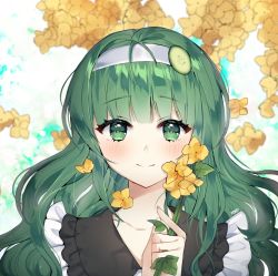 Rule 34 | 1girl, blush, closed mouth, collarbone, commission, cucumber, cucumber slice, flower, green eyes, grey hair, hairband, holding, holding flower, long hair, looking at viewer, original, poho, smile, solo, yellow flower