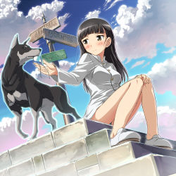 Rule 34 | 1girl, black hair, blush, brown eyes, cloud, day, dog, eyepatch, unworn eyepatch, familiar, hi-ho-, long hair, military, military uniform, sakamoto mio, signpost, sitting, sitting on stairs, sky, solo, stairs, strike witches, uniform, world witches series