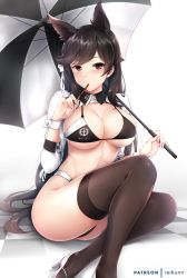 Rule 34 | 1girl, alternate costume, animal ears, artist name, ass, atago (azur lane), atago (stunning speedster) (azur lane), azur lane, bikini, black bikini, black hair, black thighhighs, blush, breasts, brown eyes, cleavage, closed mouth, cropped jacket, eating, extra ears, food, hair ribbon, high heels, highleg, highleg bikini, highres, holding, holding food, holding umbrella, jacket, large breasts, logo, long hair, looking at viewer, mole, mole under eye, pocky, rei kun, ribbon, shiny skin, sidelocks, sitting, skindentation, sleeve cuffs, solo, swept bangs, swimsuit, thighhighs, thighs, umbrella, white footwear, white ribbon, wrist cuffs