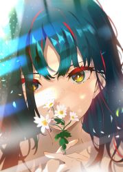 Rule 34 | 1girl, absurdres, arutera, blue hair, blurry, depth of field, flower, freckles, highres, huge filesize, light rays, multicolored hair, original, portrait, reflection, yellow eyes