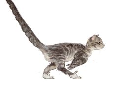 Rule 34 | animal focus, cat, chimera, dinosaur, from side, fusion, mossacannibalis, no humans, original, profile, simple background, velociraptor, white background, wings
