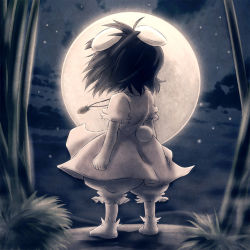 Rule 34 | 1girl, animal ears, bamboo, bamboo forest, black hair, bloomers, carrot, carrot necklace, dress, female focus, forest, full moon, inaba tewi, jewelry, moon, nature, necklace, night, noya makoto, pendant, rabbit ears, rabbit girl, rabbit tail, scenery, short hair, sky, socks, solo, tail, touhou, underwear, wind