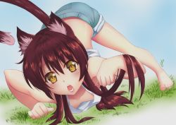 Rule 34 | 1girl, animal ears, arkaras, barefoot, brown eyes, brown hair, cat ears, cat tail, collarbone, downblouse, fang, grass, legs, long hair, open mouth, original, slit pupils, solo, tail, tank top